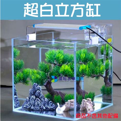 正方形魚缸|多彩 雲水族⛅精品魚缸《超白 立方缸》20cm、25cm。